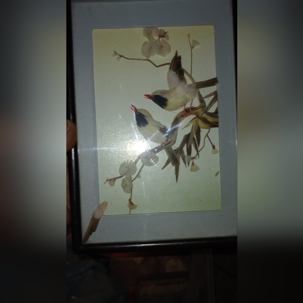 Rare Antique Chinese Bird Feather Diorama Frame